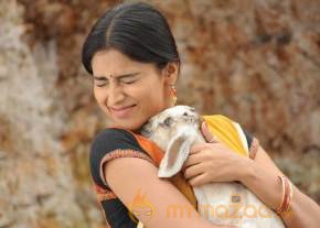 Kutty Movie Sills  photo 11