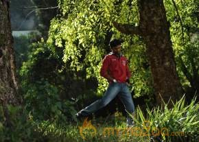 Kutty Movie Sills  photo 32