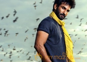 Malupu Movie Photos And Posters photo 6