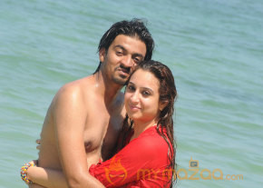 Naalu Perum Romba Nallavanga Movie Stills  photo 4