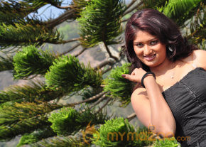 Naangaam Tamilan Movie Stills  photo 40