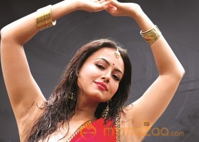 Nadigayin Diary Movie New Stills  photo 8