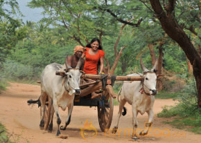 Nedunchalai Movie Stills  photo 36