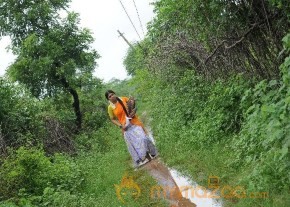 Nellu Movie Stills  photo 6