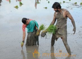 Nellu Movie Stills  photo 14