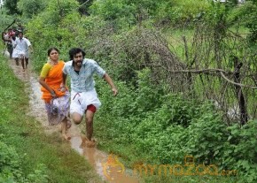 Nellu Movie Stills  photo 7