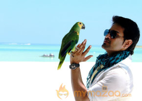 Nizhal Movie Stills  photo 31