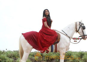 Om Shanthi Om Movie Stills 