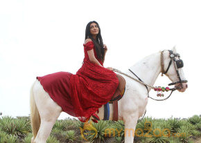 Om Shanthi Om Movie Stills