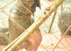 Padam Pesum Movie Onlocation Stills  photo 30