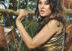 Padam Pesum Movie Onlocation Stills  photo 10