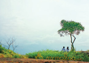 Pani Vizhum Malar Vanam Movie Stills  photo 21