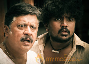 Pannaiyarum Padminiyum Movie Stills  photo 21