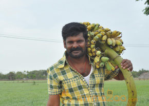 Paranjsothy Movie Stills  photo 3