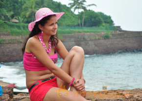 Paravai Movie Stills  photo 16