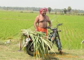 Raja Manthiri Movie Stills photo 18