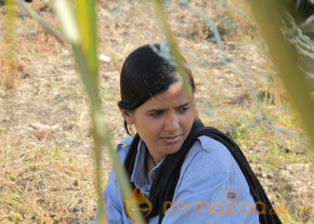 Ravana Desam Movie Stills  photo 15