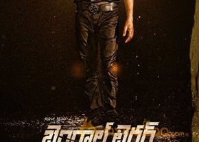 Ravi Teja Bengal Tiger movie Latest stills photo 2