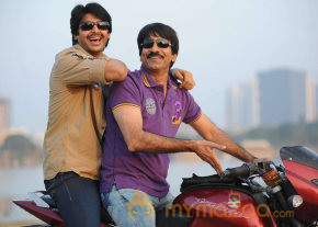 Rowdi Raja Movie Hot Gallery  photo 15