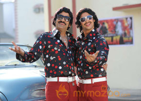 Rowdi Raja Movie Hot Gallery  photo 26