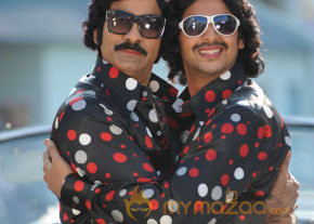 Rowdi Raja Movie Hot Gallery  photo 17