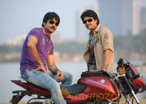 Rowdi Raja Movie Hot Gallery  photo 42