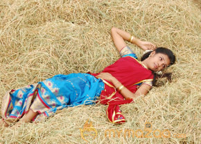 Senbaga Movie Stills  photo 14