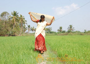 Senbaga Movie Stills  photo 19