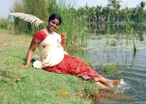Senbaga Movie Stills  photo 28