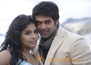Settai Movie New Stills photo 52