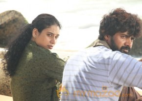 Sivappu Kollywood Movie New Stills photo 21