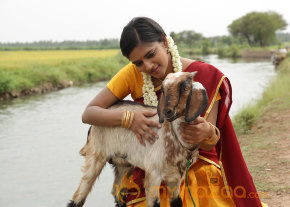 Sonna Puriyadhu Movie Stills  photo 82