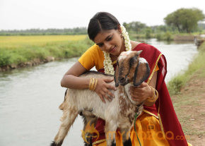 Sonna Puriyathu Movie Stills photo 9