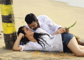 Thakituthathom Movie  Photo Gallery photo 12