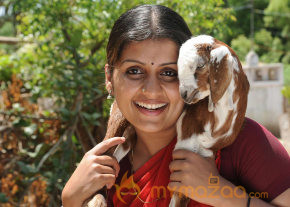 Thekulikum Pachai Maram Movie Stills  photo 32