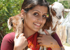 Thekulikum Pachai Maram Movie Stills  photo 13