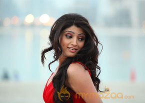 Thigar Movie New Stills  photo 7