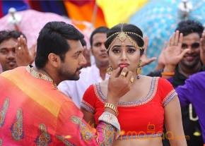 Trisha-Sakalakala Vallavan Appatakkar Tamil Movie Stills photo 7