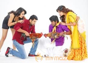 Trisha-Sakalakala Vallavan Appatakkar Tamil Movie Stills photo 9