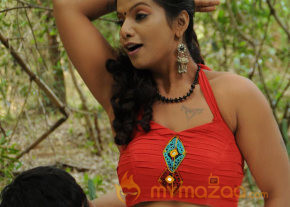 Vadakkum Therkum Movie Stills  photo 11