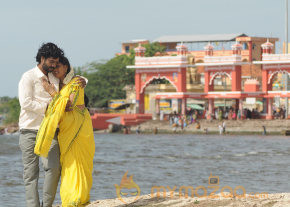 Varusanaadu Movie Photo Stills  photo 20