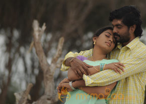 Varusanaadu Movie Photo Stills  photo 25