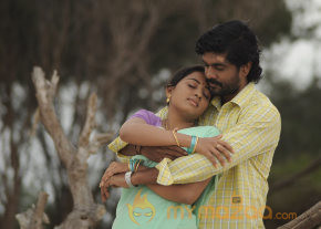 Varusanaadu Movie Photo Stills  photo 15
