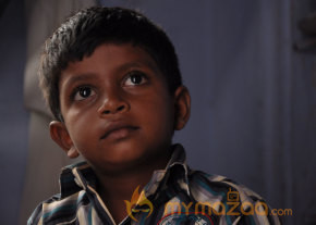 Varusanadu Movie Stills  photo 14