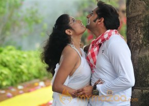 Veelaithe Premidham Movie Stills photo 35