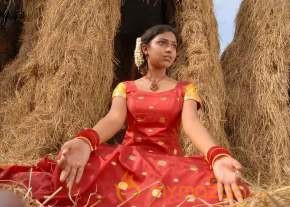 Veera Segaran stills  photo 3