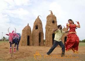 Veera Segaran stills  photo 19