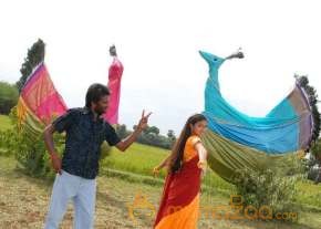 Veera Segaran stills  photo 5