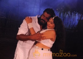 Viruthachalam Tamil Film Stills photo 32