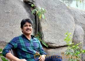 Akkineni Nagarjuna photo 19